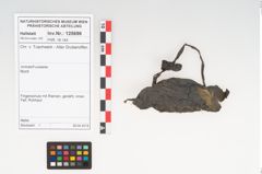 Foto von Rohhaut (NHMW-PRAE-125696)